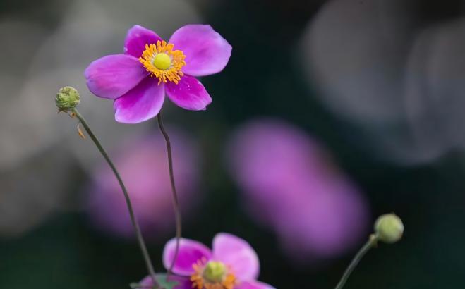 男人多大开始明显衰老，男人衰老最快的年龄段