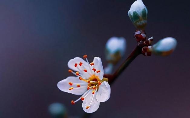 男人多大开始明显衰老，男人衰老最快的年龄段