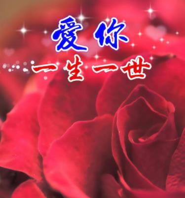 爱你一生一世图片