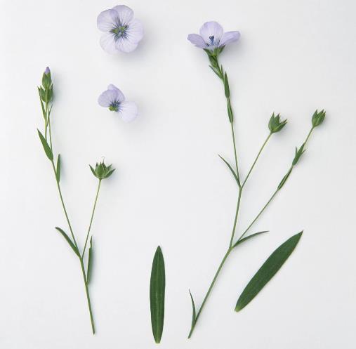 为什么说不要把得失看得太重