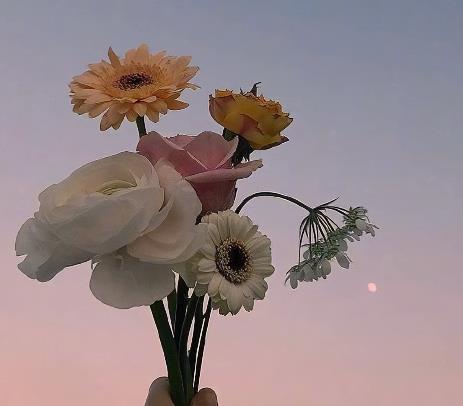 夫妻陪伴到老的感慨,夫妻相互陪伴到老的句子