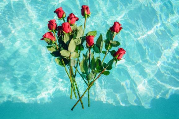 夫妻陪伴到老的感慨,夫妻相互陪伴到老的句子