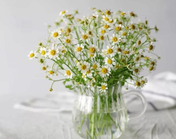 如何解决五十岁的迷茫和无奈