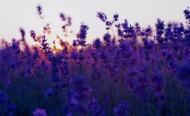 晨起坚持三个习惯长寿唾手可得