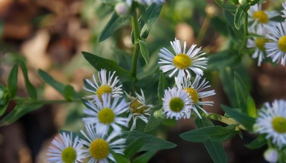 晨起坚持三个习惯长寿唾手可得