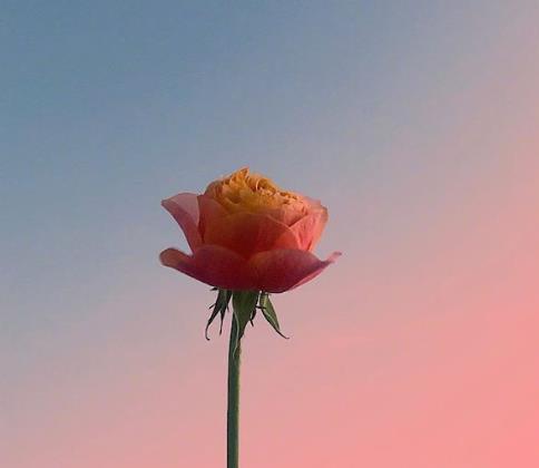 九十岁老人十句话,九十岁老人经典语录