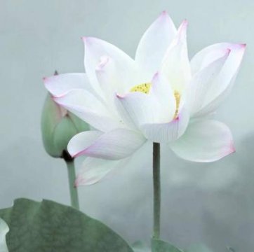 女人最难熬的状态是什么，女人最难熬的三个阶段