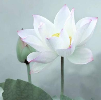 女人最难熬的状态是什么，女人最难熬的三个阶段