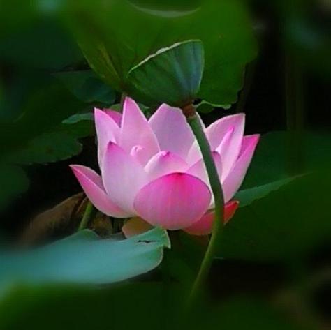 女人最难熬的状态是什么，女人最难熬的三个阶段