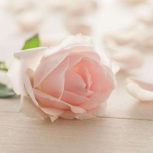 如何让中年婚姻更完美,中年女人怎么维持好自己的婚姻