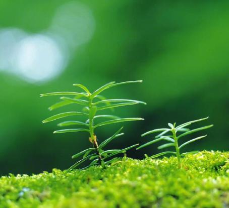 情绪落差感是什么意思,落差感是一种怎样的情绪