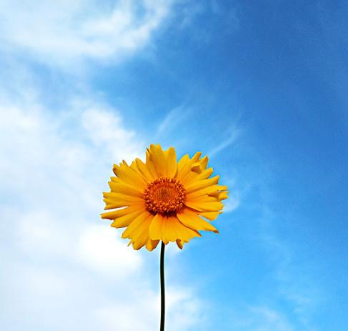 中年女人三大愿望是什么,中年男性最想要的三个愿望