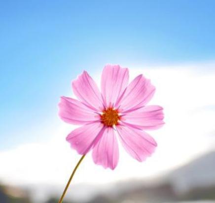 中年女人三大愿望是什么,中年男性最想要的三个愿望