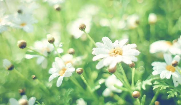 人到中年接受三种平凡，人到中年看透三种人