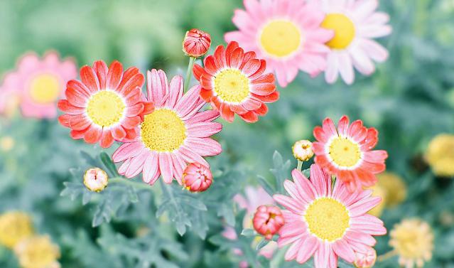 人到中年接受三种平凡，人到中年看透三种人