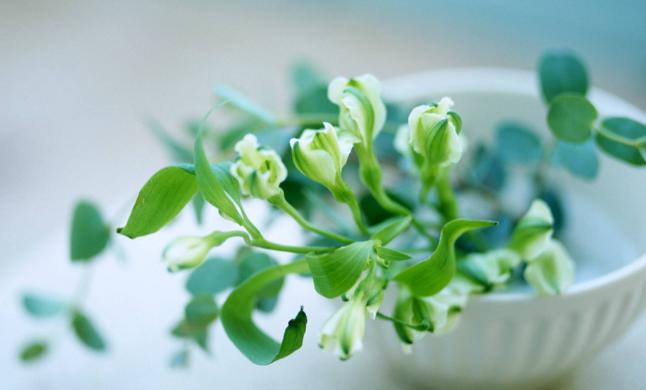 人到中年接受三种平凡，人到中年看透三种人