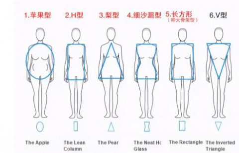 女人身材类型分类12种，身材类型分类图片