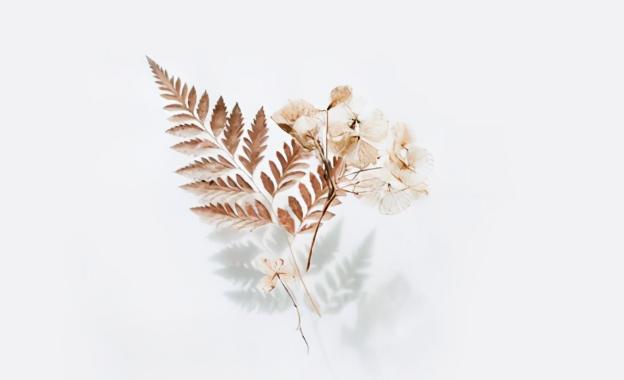 离婚不离家复婚的几率有多大,离婚几年复婚可能性大不大