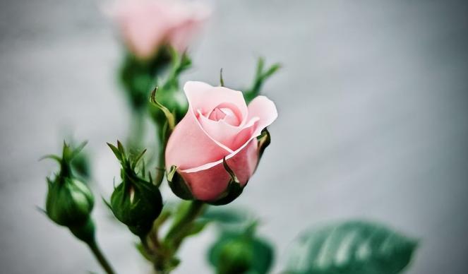 老年夫妻如何活得快乐，老年夫妻怎么保持新鲜感