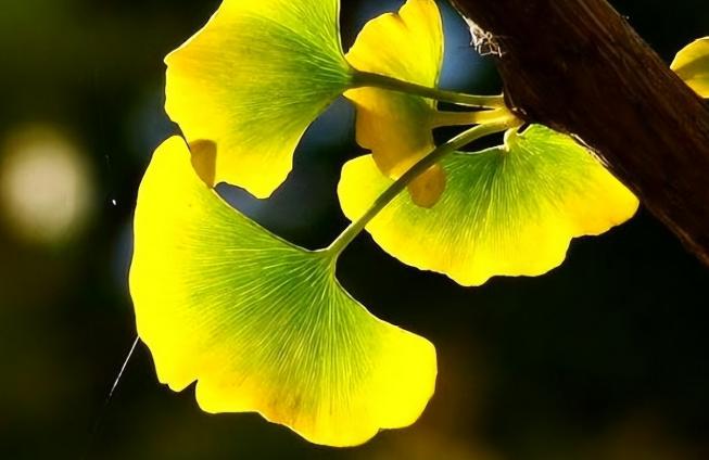 人到60要注意三件事,人到六十必须牢记的这几句话