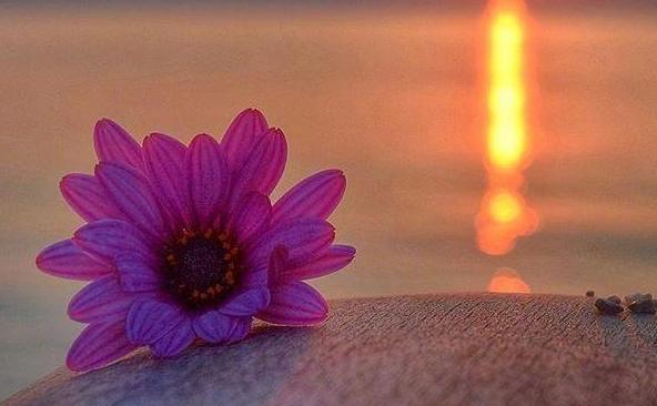 人到60要注意三件事,人到六十必须牢记的这几句话