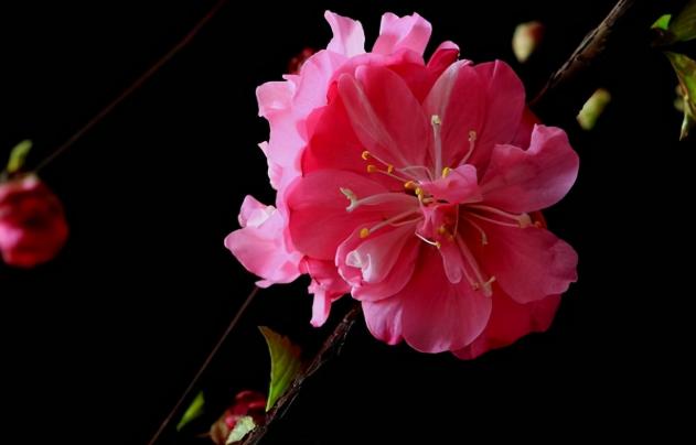 人到60要注意三件事,人到六十必须牢记的这几句话