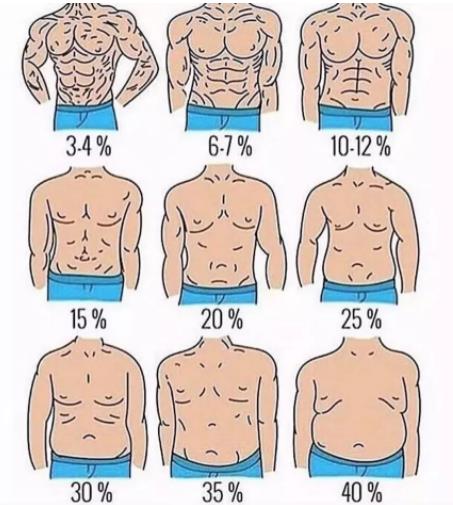 男生标准体脂率图片