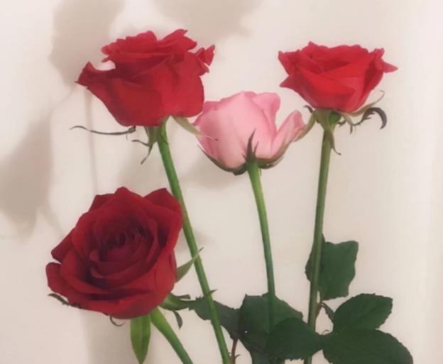 异地想念老婆怎么解决,想念异地老婆的暖心情话