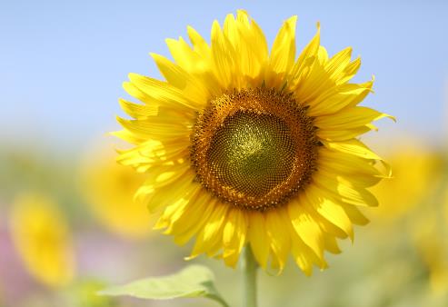 人到六十记住这十句话，人到六十最好的十句话