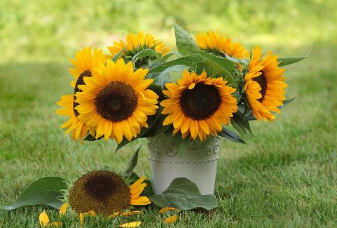 人到六十记住这十句话，人到六十最好的十句话