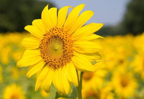 人到六十记住这十句话，人到六十最好的十句话