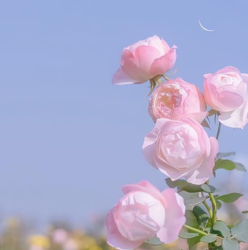 70后女人最吃香的职业,70后女人适合做什么工作