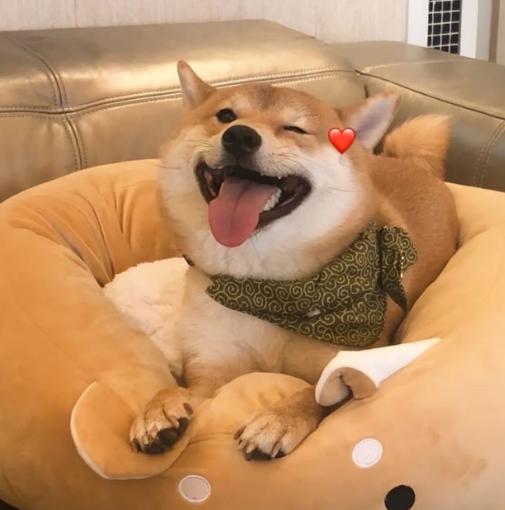 单身怎么解决孤独问题，单身中年人孤独怎么办