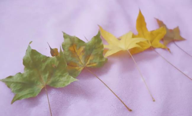 让男人感动的流泪的四十句话