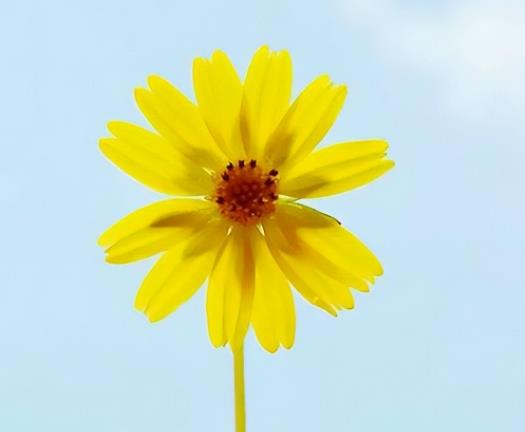 接吻次数多了彼此会越来越像吗