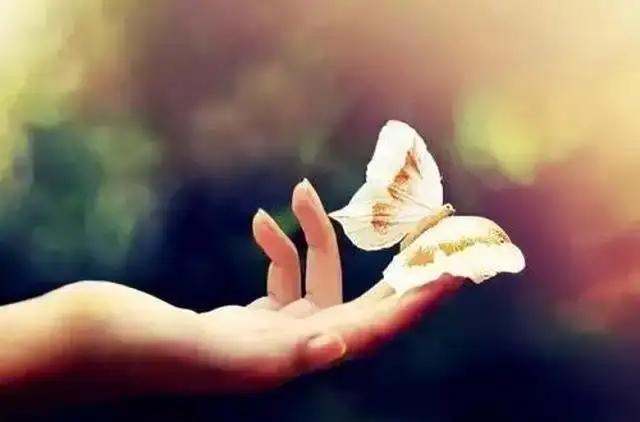 优秀的男人会喜欢什么样的女人，高学历的人择偶观