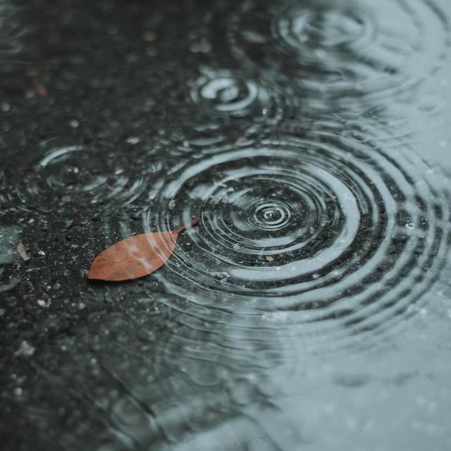下雨天适合穿什么裤子,下雨天穿的裤子脏了怎么办