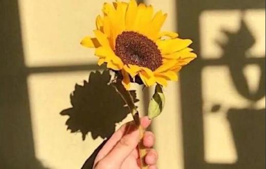 爱就是满足彼此的需求,满足彼此需求感情就能够让感情长久吗