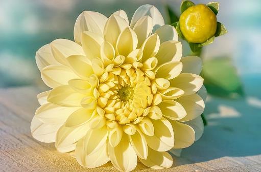 爱就是满足彼此的需求,满足彼此需求感情就能够让感情长久吗