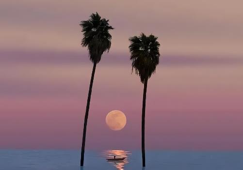 男女对视超过5秒意味什么,对视多长时间是喜欢