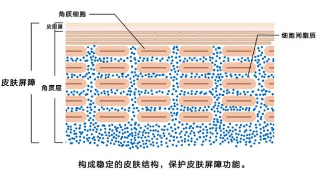 润肤油怎么选，润肤油什么时间用效果好