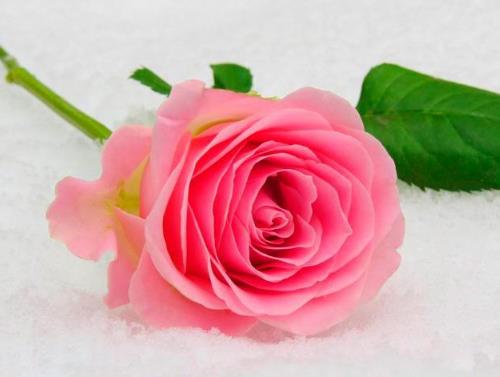 怎样吻男人才会终生难忘,怎么吻男生让他措手不及