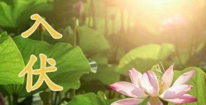 高压锅煮绿豆汤的技巧，熬绿豆汤怎样烂得快