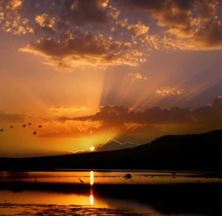 一个男人欠你情债的表现,男人欠一个女人的情债表现