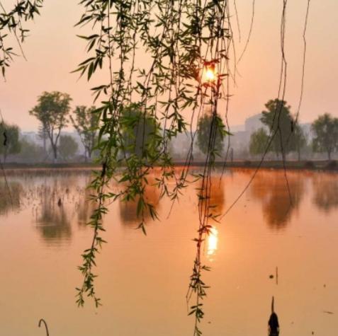 一个男人欠你情债的表现,男人欠一个女人的情债表现