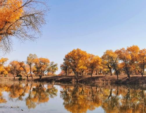 一个男人欠你情债的表现,男人欠一个女人的情债表现