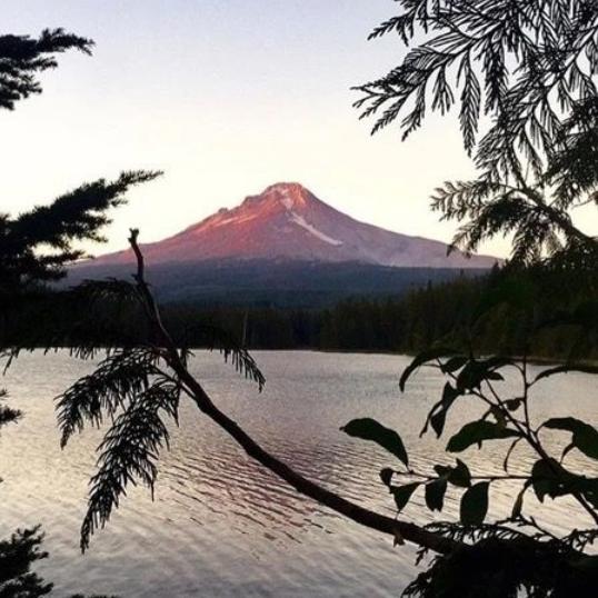 一个男人欠你情债的表现,男人欠一个女人的情债表现