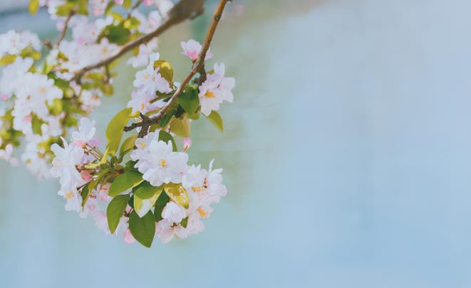 七年之痒夫妇怎么相处好,怎么避免七年之痒