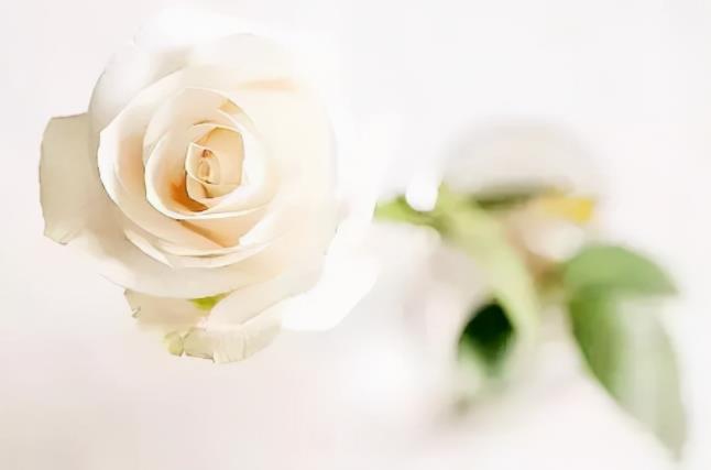 七年之痒夫妇怎么相处好,怎么避免七年之痒