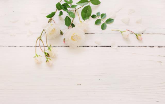 婚姻最深度的十句话,婚姻本质十句话